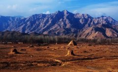 《从修剪工到群众